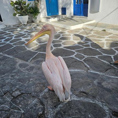 Lalaland Apartment Mykonos Town Exterior photo